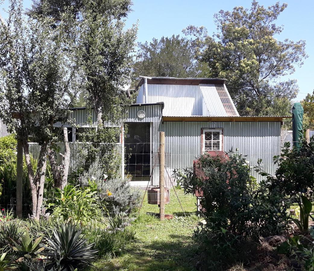 Storms River Tin House Stormsrivier Ngoại thất bức ảnh